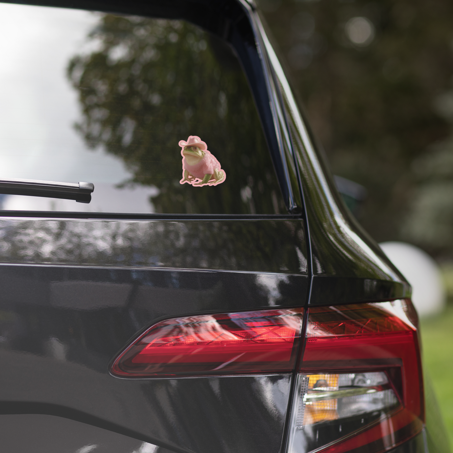 Aesthetic Pink Toad with Cowboy Hat
